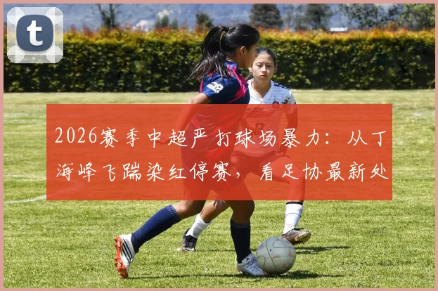 2026赛季中超严打球场暴力：从丁海峰飞踹染红停赛，看足协最新处罚尺度与球员行为规范