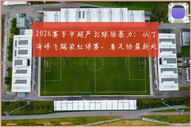 2026赛季中超严打球场暴力:从丁海峰飞踹染红停赛,看足协最新处罚尺度与球员行为规范